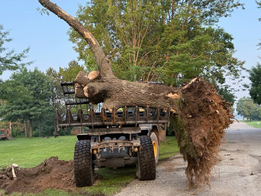 Stinger Attachments Severe Duty Clam Grapple for Wheel Loader